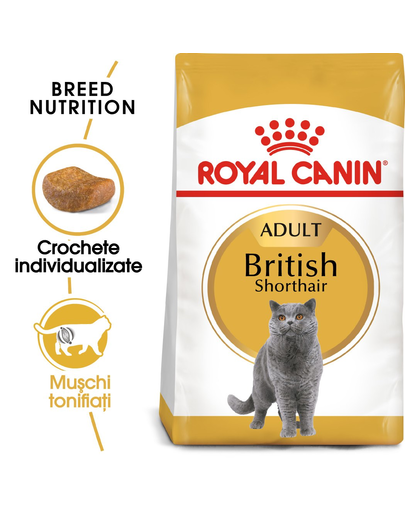Royal Canin British Shorthair Adult hrana uscata pisica, 10 kg Adult
