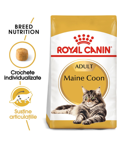 Royal Canin Maine Coon Adult hrana uscata pisica, 10 kg Adult imagine 2022