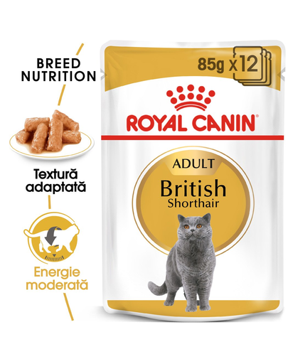 Royal Canin British Shorthair Adult hrana umeda pisica, 12 x 85 g Adult imagine 2022
