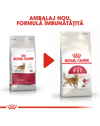 Royal Canin Fit32 Adult hrana uscata pisica cu activitate fizica moderata, 400 g