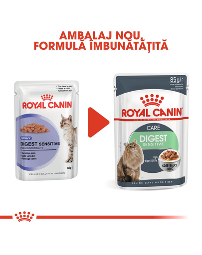 Royal Canin Digestive Care Adult hrana umeda pisica pentru confort digestiv, 12 x 85 g