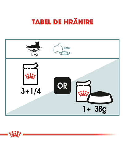 Royal Canin Hairball Care Adult hrana umeda pisica pentru reducerea formarii bezoarelor, 12 x 85 g