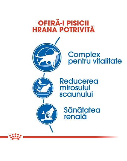 Royal Canin Indoor 7+ Hrană Uscată Pisică 3.5 kg