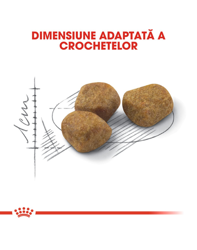 Royal Canin Indoor 7+ Hrană Uscată Pisică 3.5 kg