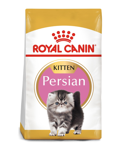 royal persian cats