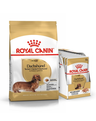 ROYAL CANIN Dachshund hrană pentru câini Dachshund adulți 7.5 kg + hrană umedă 12x85