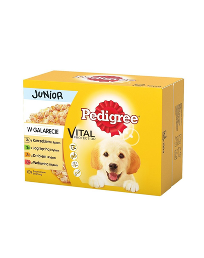 PEDIGREE hrana umeda pentru caini juniori, in aspic 36+12 GRATIS