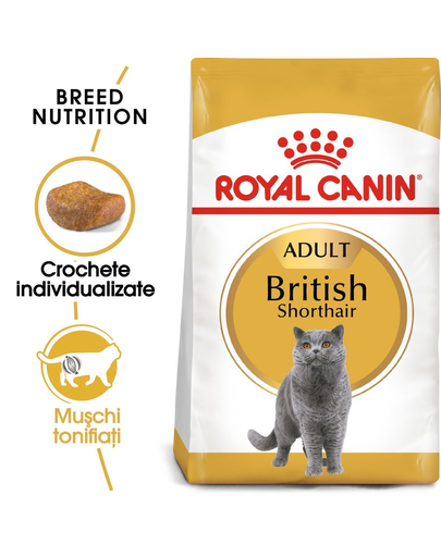 Royal Canin British Shorthair Adult hrana uscata pisica 10 kg + hrana umeda 12x85g 12x85g imagine 2022