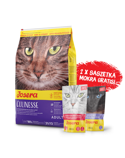 Hrana uscata pentru pisici - ghidnutritiecanina.ro