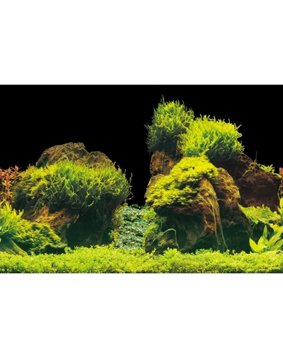 AQUA NOVA Fundal acvariu fata-verso, marime L, 100x50cm, roci / plante