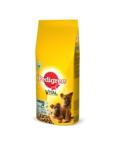 PEDIGREE Junior hrana uscata caini juniori de talie mare 15 kg + Dr PetCare MAX Biocide zgarda protectie impotriva puricilor si a insectelor, pentru caini de talie medie 75 cm GRATIS