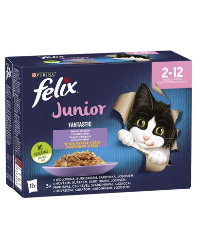 FELIX FANTASTIC Junior Mix Hrana umeda cu diverse tipuri de peste pentru pisici junior 12x85g