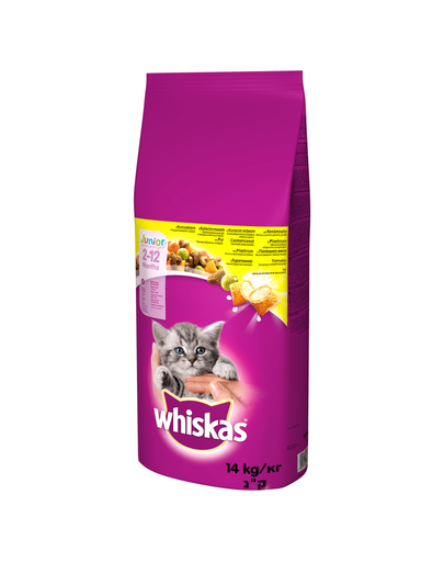 WHISKAS Junior hrana uscata pisici juniori 14kg + DREAMIES cu pui GRATIS