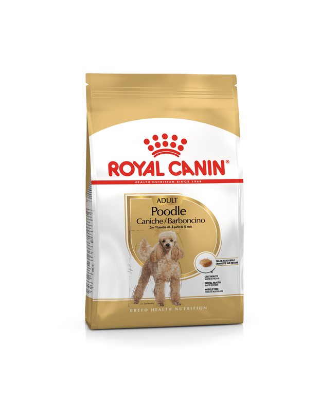 royal canin poodle caniche