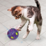 KONG Bat-A-Bout Flicker Disco minge stralucitoare pentru pisoi si pisici