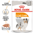 ROYAL CANIN Coat Care- Hrana umeda pentru blana, pentru câinii adulți, 12 plicuri x 85 g