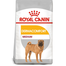 ROYAL CANIN Medium Dermacomfort 12 kg hrana uscata pentru caini adulti de talie medie cu piele sensibila