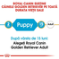 Royal Canin Golden Retriever Puppy hrana uscata pentru catei Retriver, pana la 15 luni 12 kg
