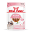 Royal Canin Kitten Instinctive In Gravy hrana umeda in sos pentru pisica, 12 x 85 g