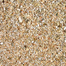TRIXIE Vermiculit subsol natural pentru incubare 5 l