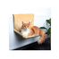 TRIXIE Pat pisică pentru radiator 48 × 26 × 30 cm bej