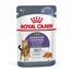 ROYAL CANIN Appetite Control Jelly 24x85 g hrana umeda pisici adulte cu un apetit excesiv