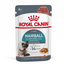ROYAL CANIN Hairball Care in sos 24x85 g hrana umeda pisici adulte, reduce formarea ghemotoacelor de blana