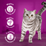 WHISKAS Adult pui si curcan in sos 52x85 g hrana pisici adulte
