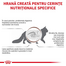 ROYAL CANIN Cat Gastro Intestinal 2 kg hrana uscata pisici cu tulburari gastrointestinale