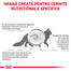 ROYAL CANIN Gastro Intestinal Moderate Calorie Feline 2 kg hrana dietetica pisici afectiuni gastrointestinale