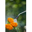 GARDENA Pulverizator sub presiune 5 L