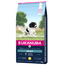 EUKANUBA Active Adult Medium Breed bogat in pui proaspat 15kg hrana caini