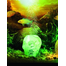HYDOR H2shOw Lost Civilization - craniu de cristal