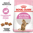 Royal Canin Kitten Sterilised Hrană Uscată Pisică 4 kg