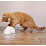 TRIXIE Jucărie pentru pisici cu baterii și senzor de mișcare Feather Hider