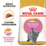 Royal Canin British Shorthair Kitten hrana uscata pisica junior, 10 kg