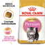 Royal Canin Persian Kitten hrana uscata pisica junior, 400 g