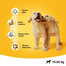 PEDIGREE Junior pentru câini de talie medie 2.2 kg + 400g GRATIS