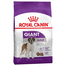 Royal Canin Giant Adult Hrană Uscată Câine 4 kg