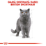 Royal Canin British Shorthair Adult hrana uscata pisica, 2 kg