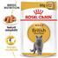 Royal Canin British Shorthair Hrană Umedă Pisică 85 g