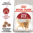 Royal Canin Fit32 Adult hrana uscata pisica cu activitate fizica moderata, 4 kg