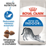 Royal Canin Indoor Adult hrana uscata pisica de interior, 400 g