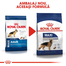 Royal Canin Maxi Adult Hrana Uscata Caine 10 kg