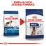 Royal Canin Maxi 5+ Adult hrana uscata caine intre 5 si 8 ani, 4 kg