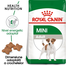 Royal Canin Mini Adult hrana uscata caine, 2 kg