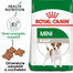 Royal Canin Mini Adult hrana uscata caine, 8 kg