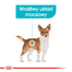 Royal Canin Mini Urinary Care hrana uscata caine pentru sanatatea tractului urinar, 3 kg