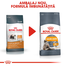 Royal Canin Hair&Skin Care Adult hrana uscata pisica pentru piele si blana, 10 kg