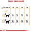 Royal Canin Hair&Skin Care Adult hrana uscata pisica pentru piele si blana, 400 g